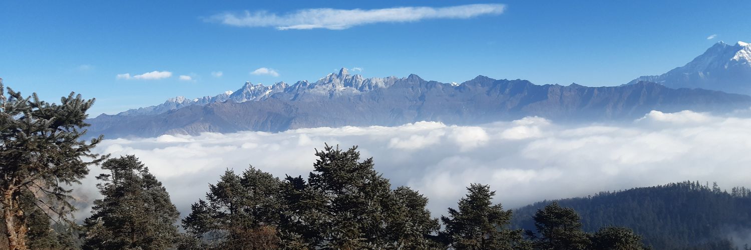 च्यवन's banner