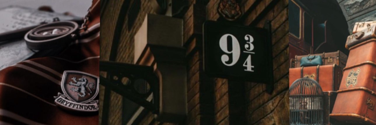 gozdeeozen's profile banner image