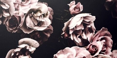 you_0verboard's profile banner image