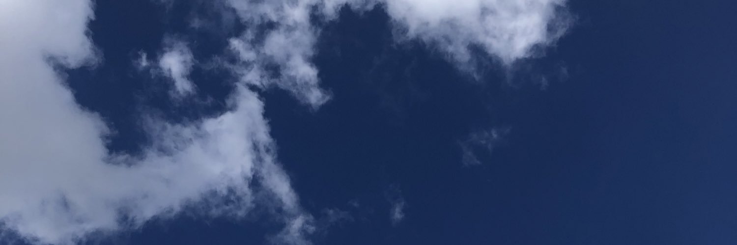 beckeyandrisa's profile banner image