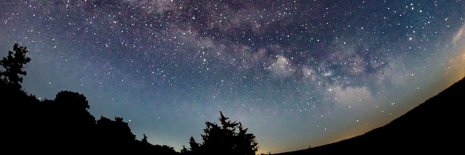 AdriennaLrl's profile banner image