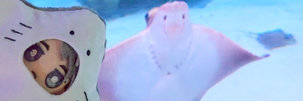 512shimishimi's profile banner image