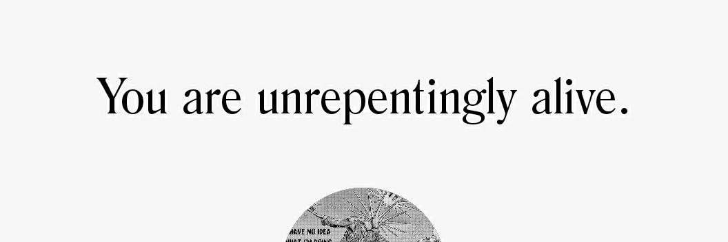 Marisa Went West banner