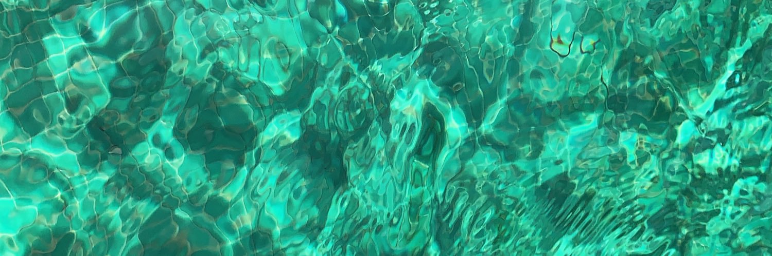 orianacots's profile banner image