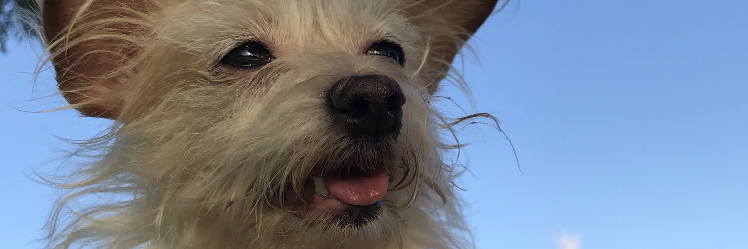 kassass69's profile banner image