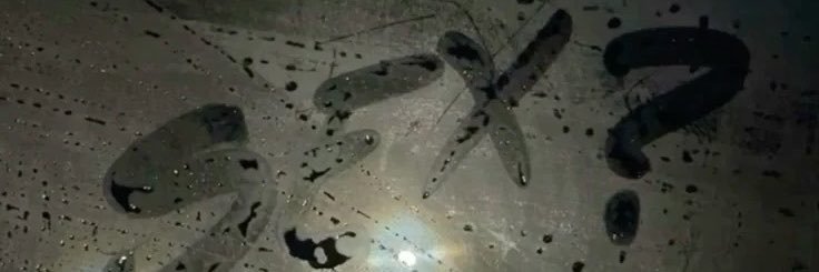 fxn61's profile banner image