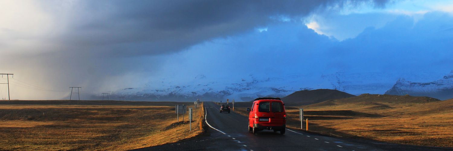 eccentric_sheepdog banner