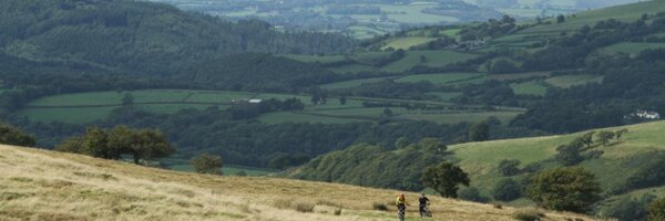TweetBails Profile Banner