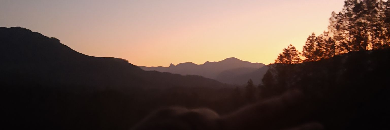 g0rhy's profile banner image