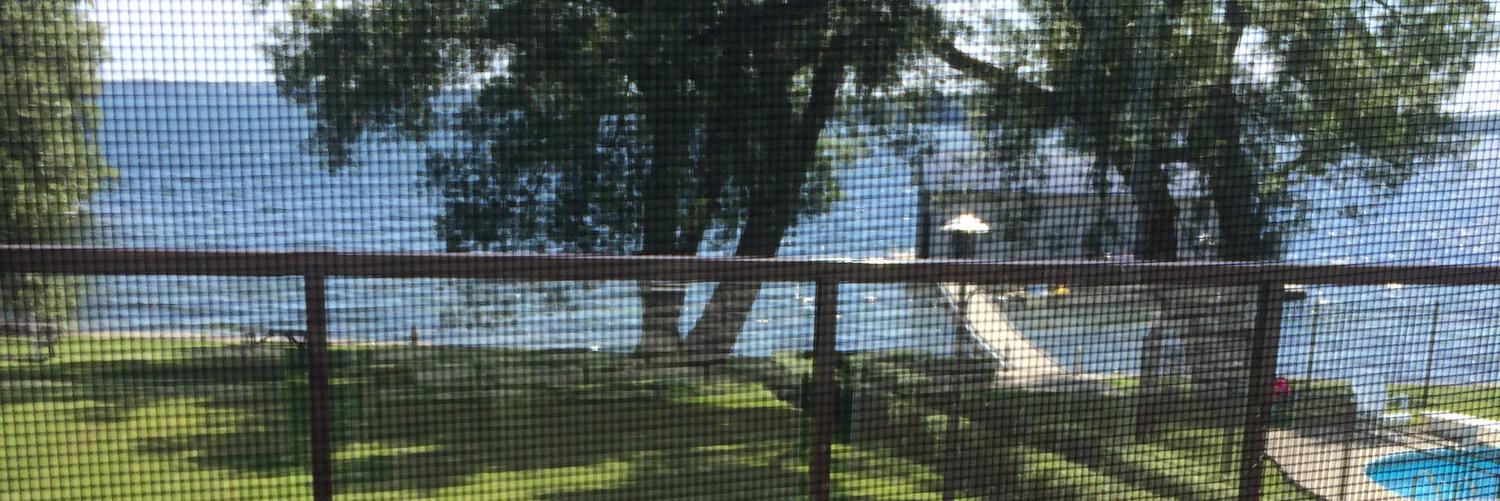 Zach Springer banner