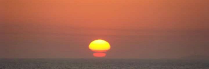monkey_bzns's profile banner image