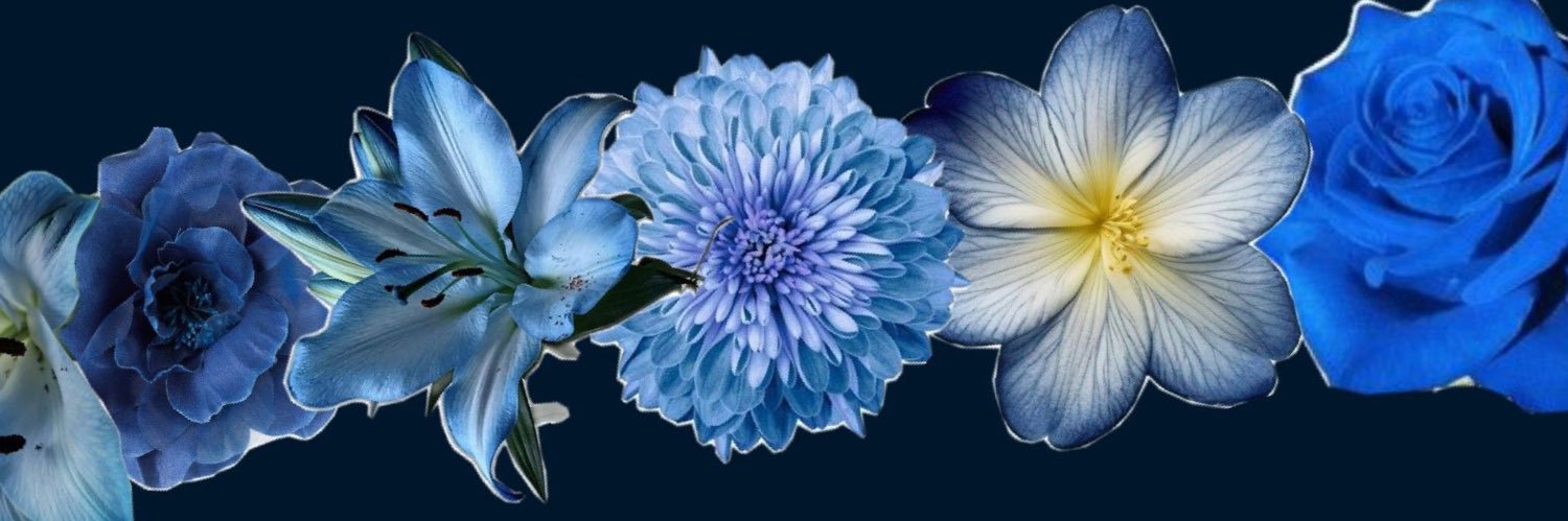 HeyTrenae's profile banner image