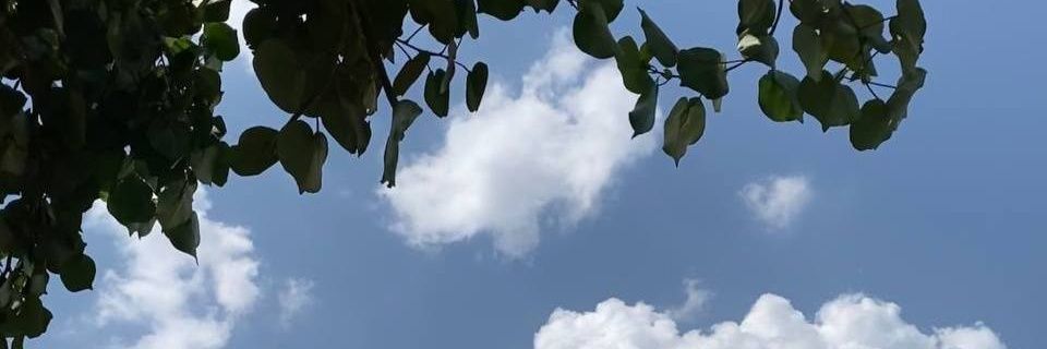 بلوقر|𝓱𝓪𝓶® banner