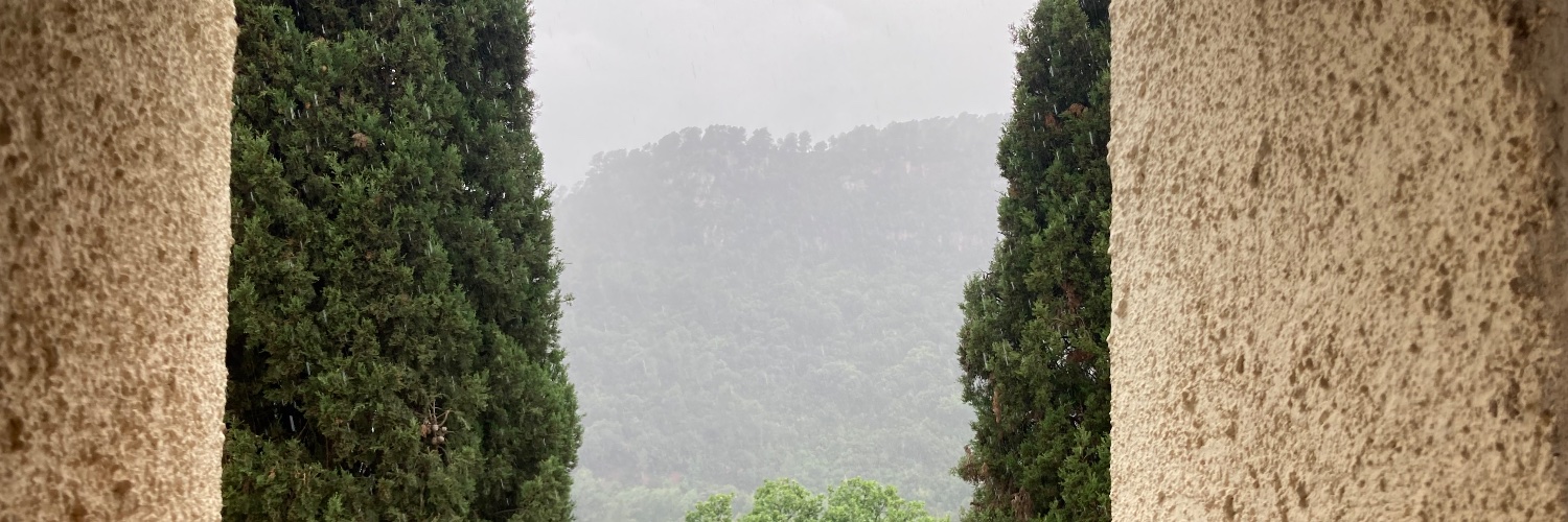 Oriol López Villena banner