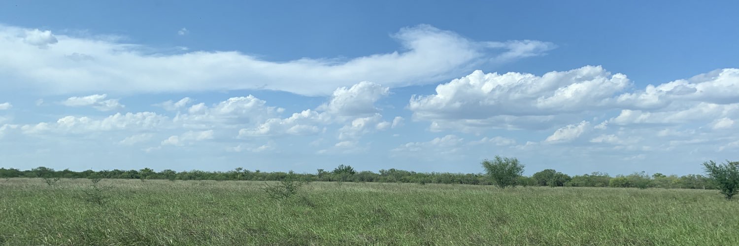 maxzrdz's profile banner image