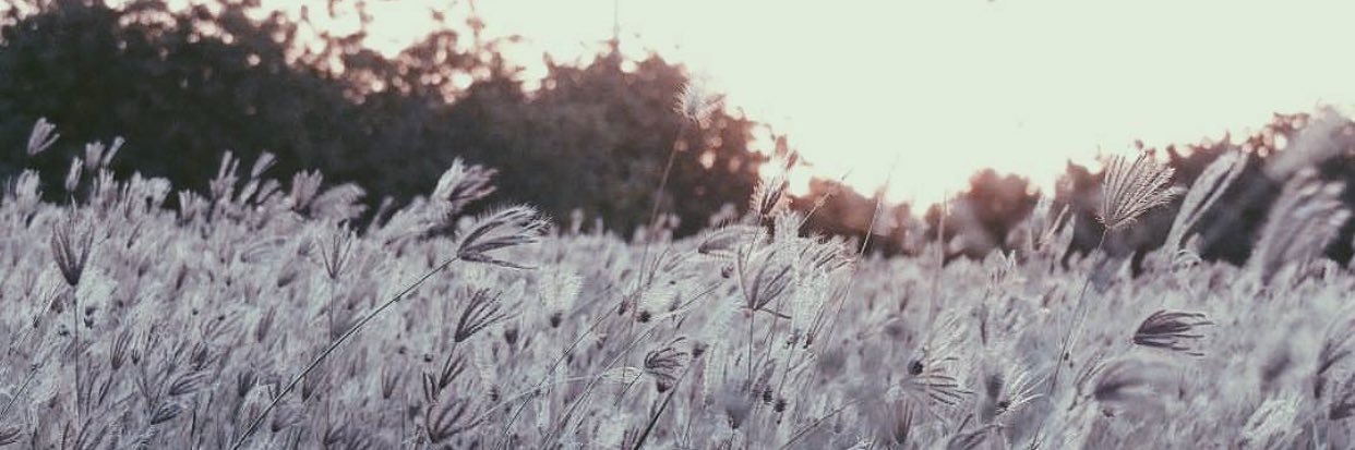 sem_54's profile banner image