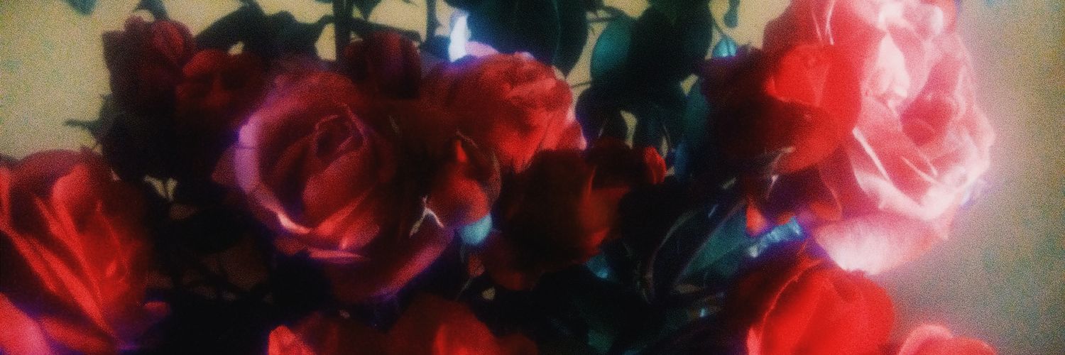 LisaIoana's profile banner image
