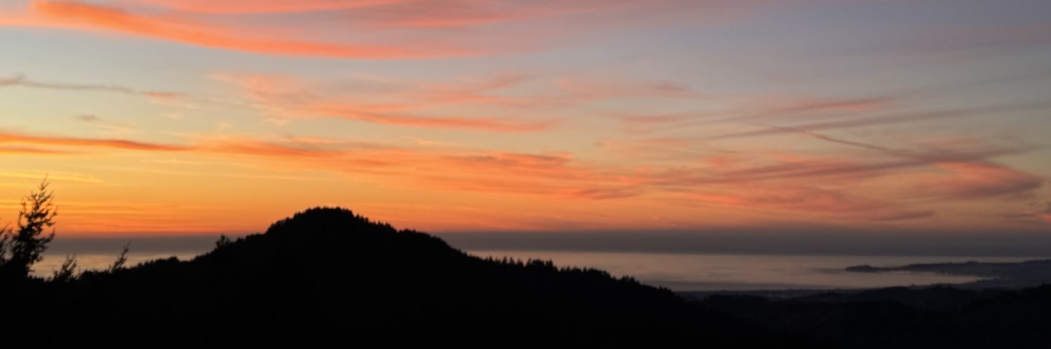 Beth Darnall, PhD banner