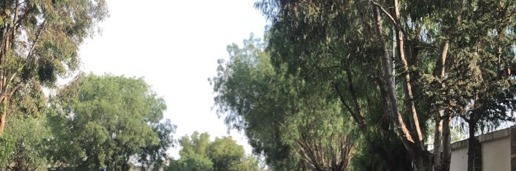 majid511's profile banner image