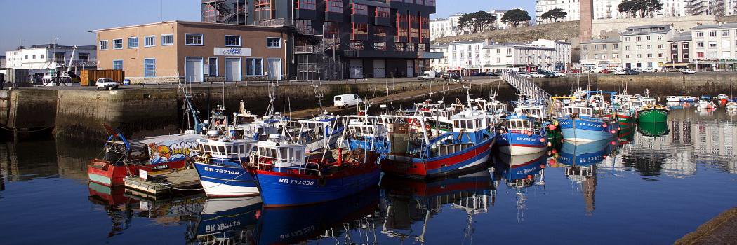 Sébastien Metz banner