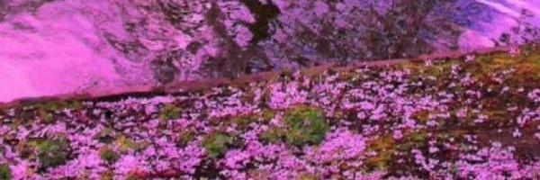 7eEva Profile Banner