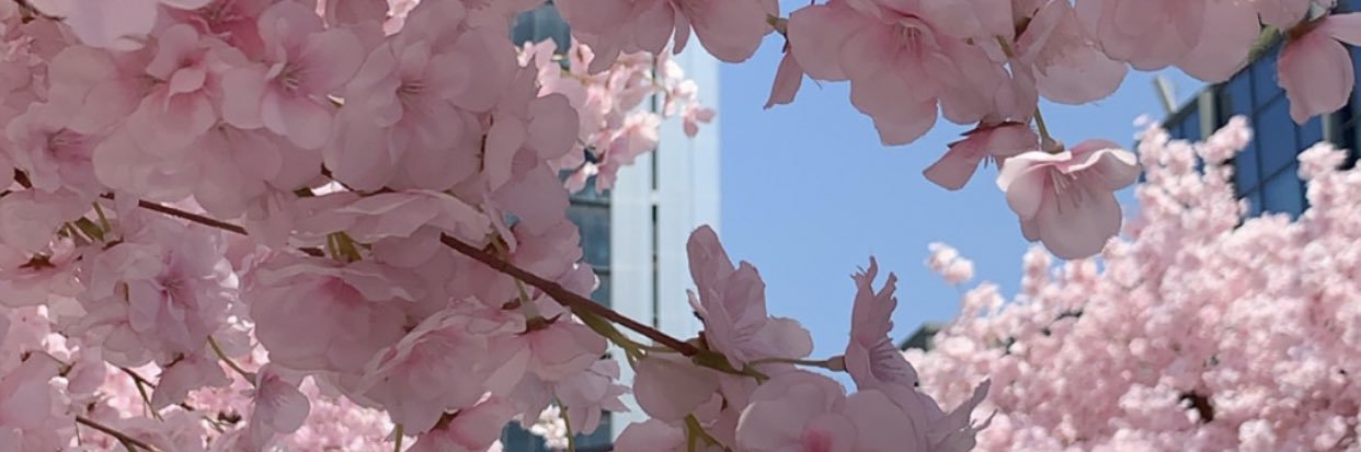 a7asa1's profile banner image