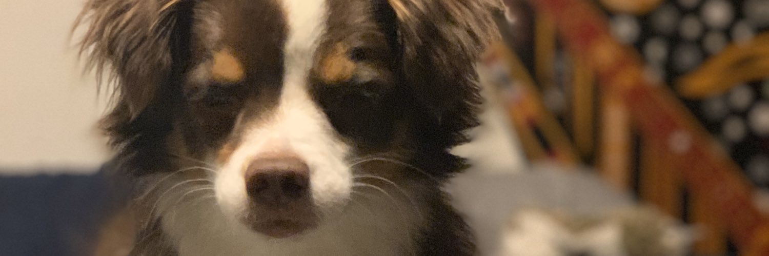 WildWildWessss's profile banner image