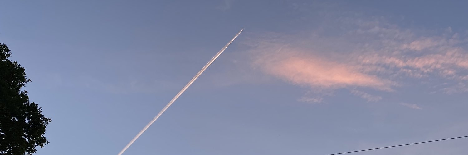 EffiNicki's profile banner image