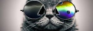 LDenduyver's profile banner image