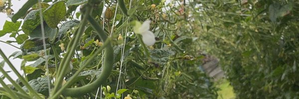 exmass2000 Profile Banner