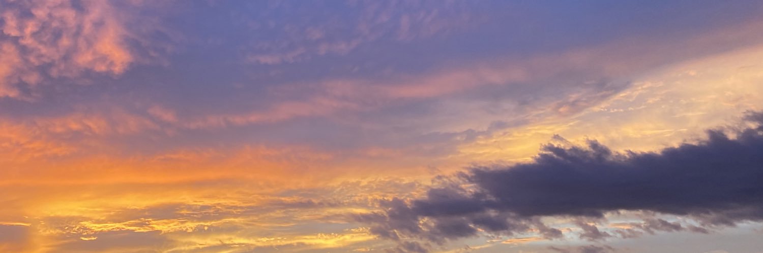ameliakerrigan's profile banner image