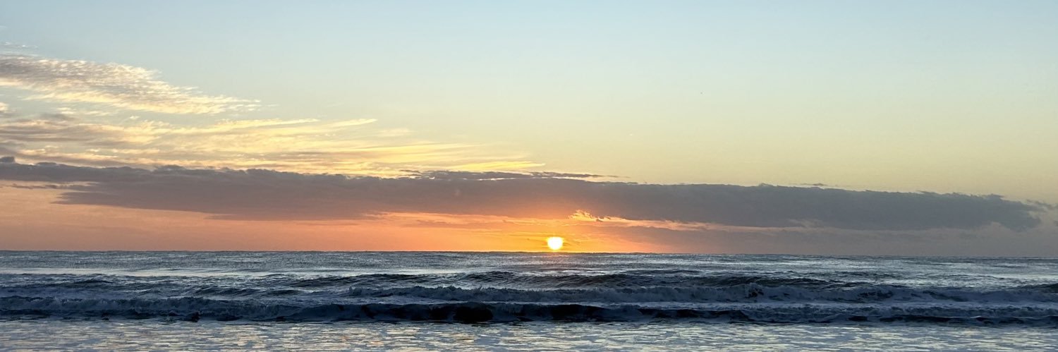 orihanalezcano's profile banner image
