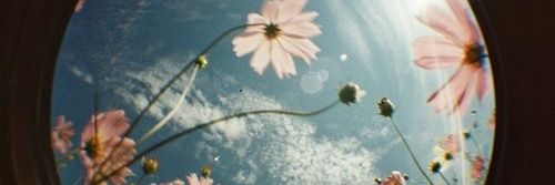 sunshine_csp's profile banner image