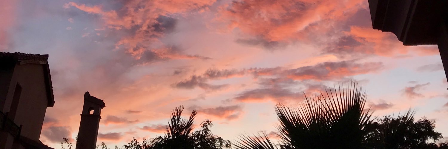 elliecansick's profile banner image