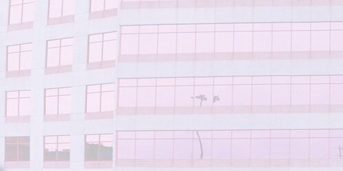 cutemgposes's profile banner image