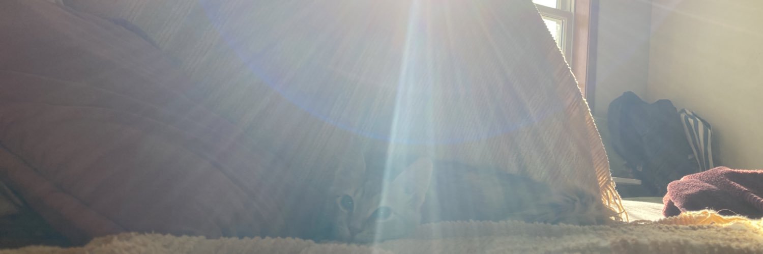 maeleyhl's profile banner image