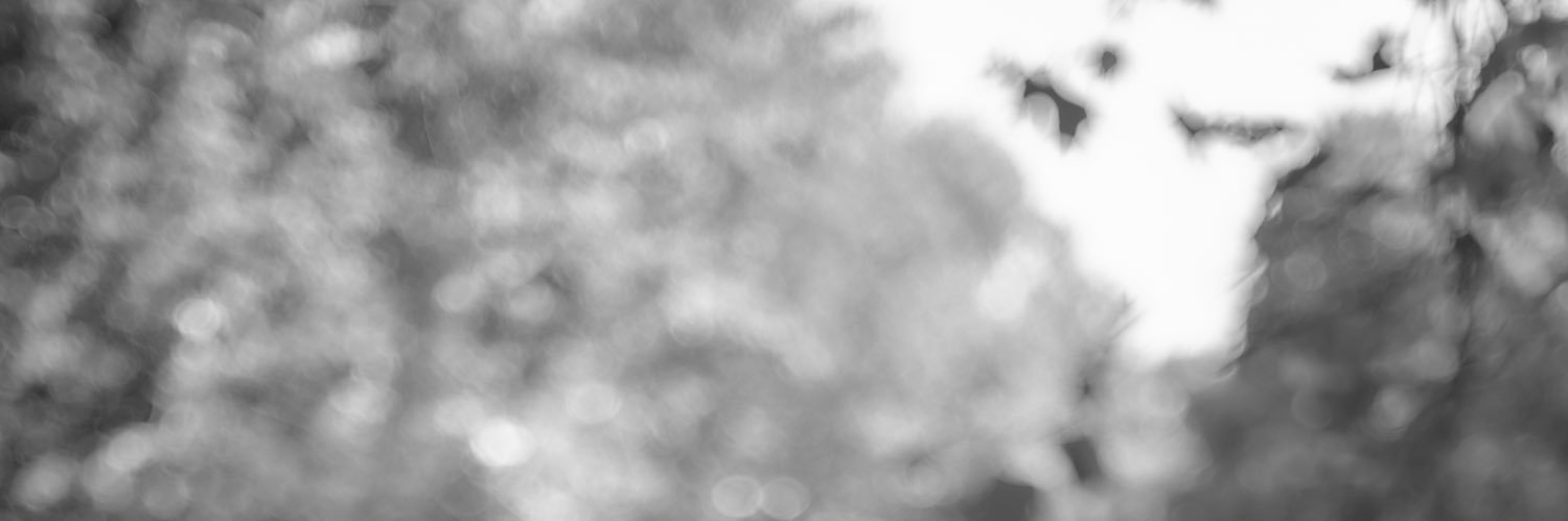 _georgemorris__'s profile banner image