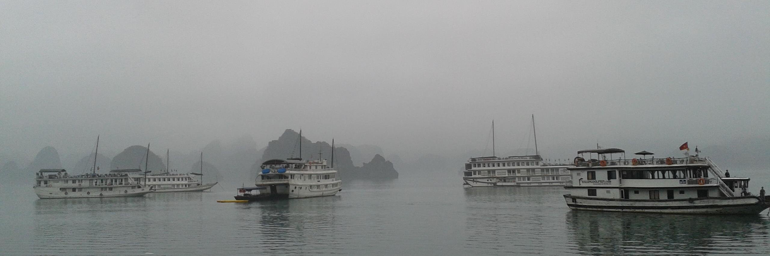 Patrick Hannon banner