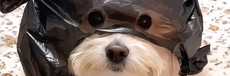 Lukasradio's profile banner image