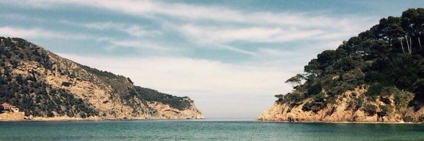 Sandra Escacena. banner