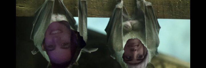 fogarty_gillian's profile banner image