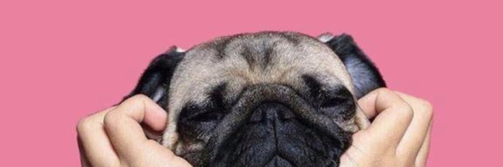 attysunga's profile banner image