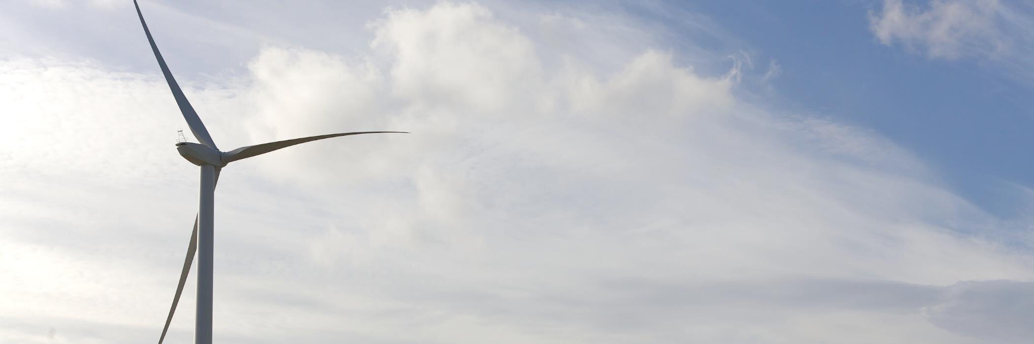 Dewlay Cheese banner