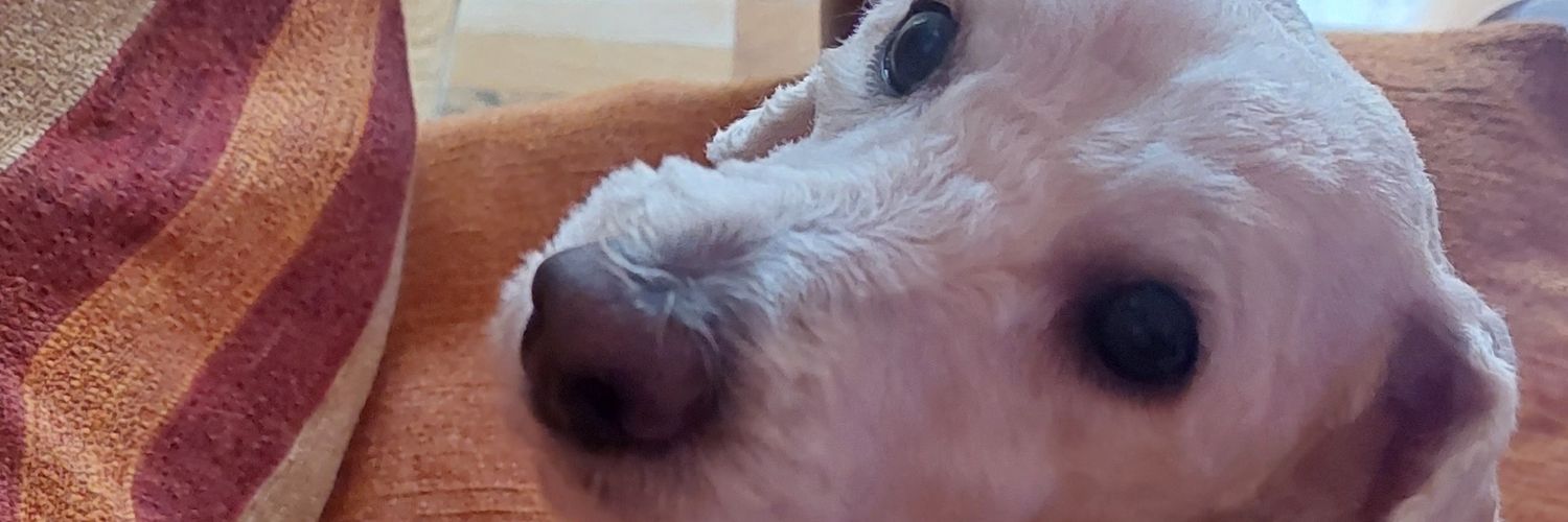 solangeossio's profile banner image