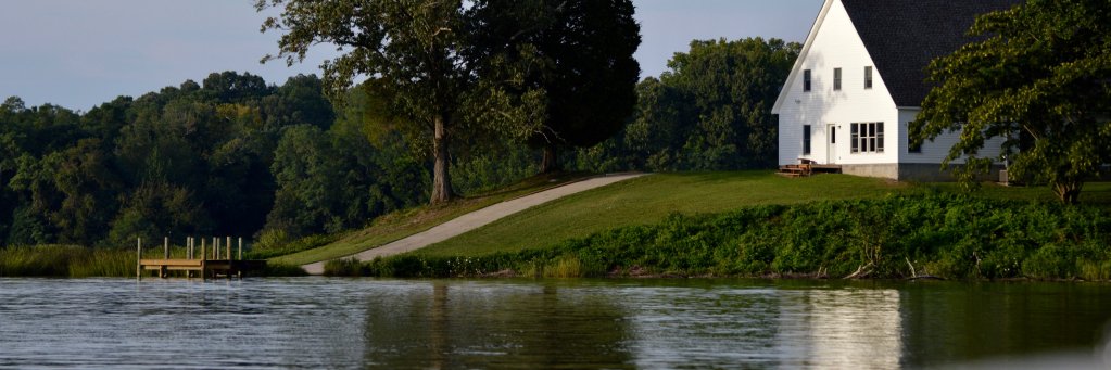 Cindy Dittfield banner