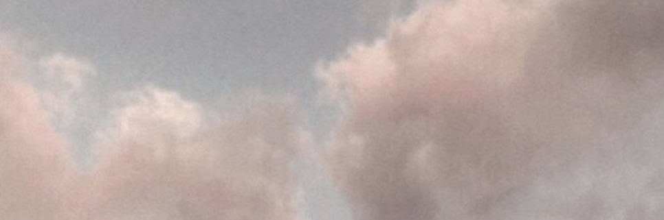 sarah🌕 banner