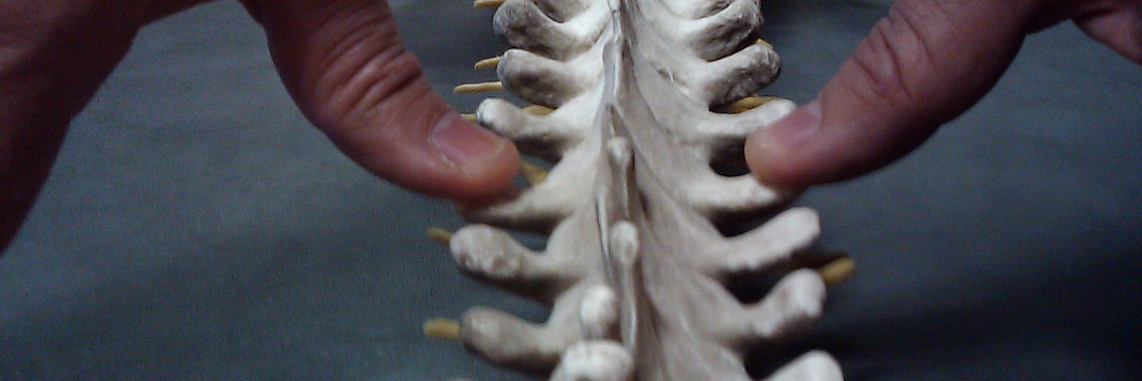 Juan López Fisio banner