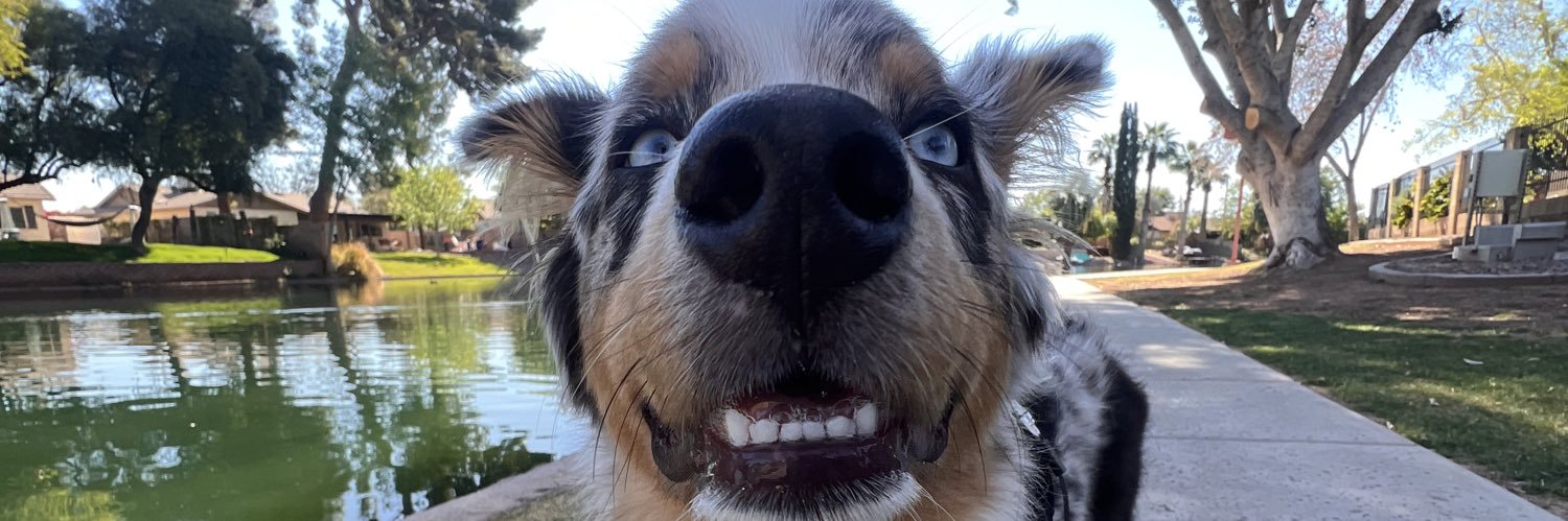 haifreeman_'s profile banner image