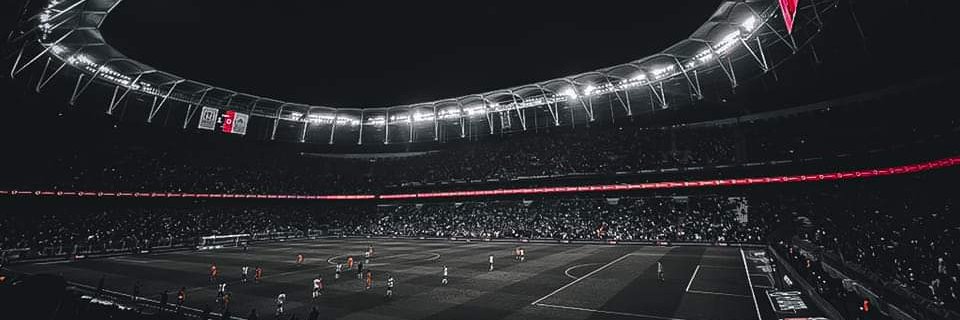 vforelneny's profile banner image
