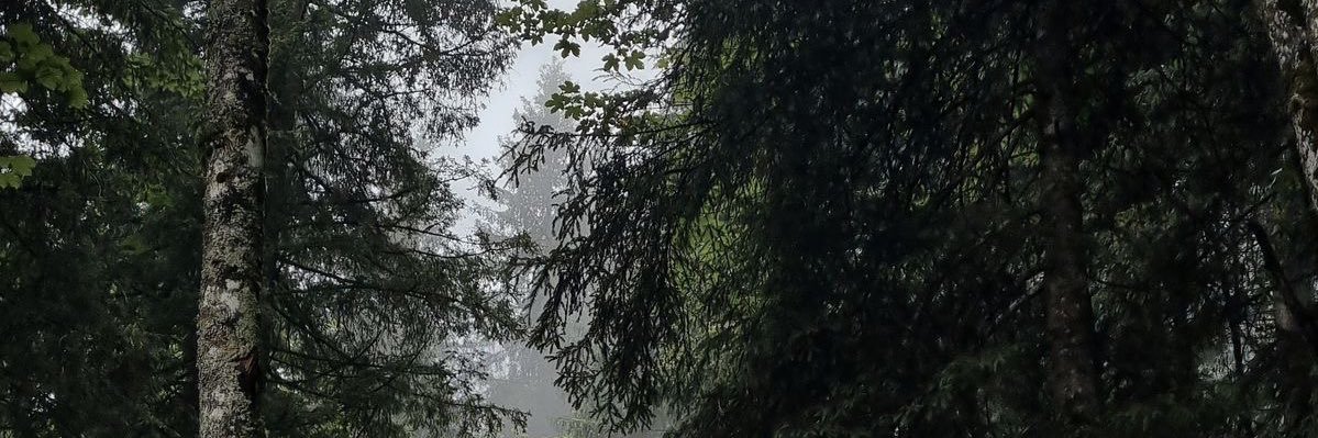 danielasilvvaa's profile banner image